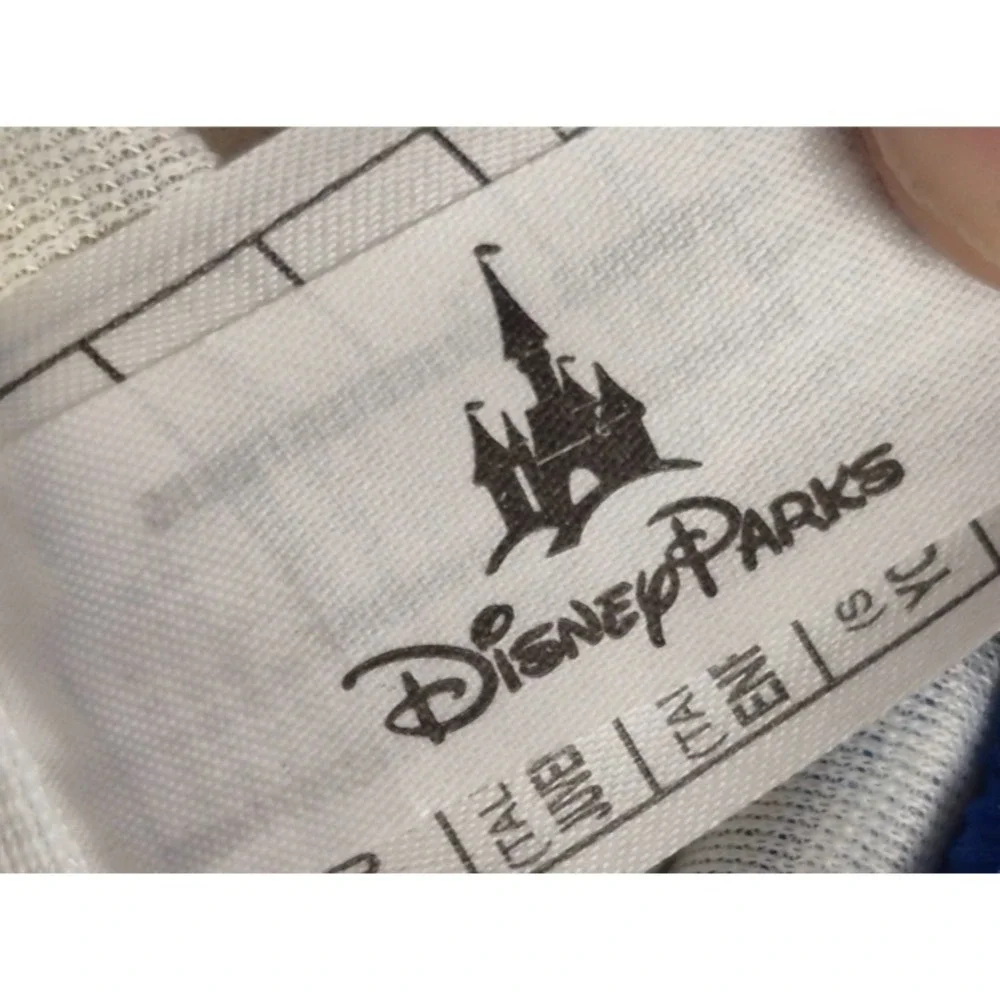 Disney Parks Mickey Mouse‎ Fantasia Sorcerer's Apprentice Wizard Hat Collectable